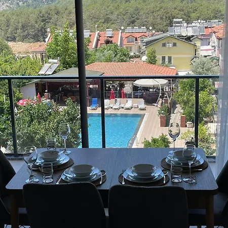 Lina Life 페티예